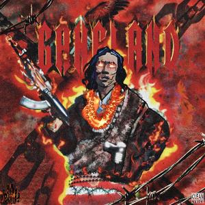 楠木女学院影音先锋
