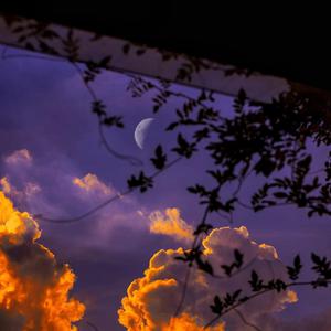 楠木女学院影音先锋
